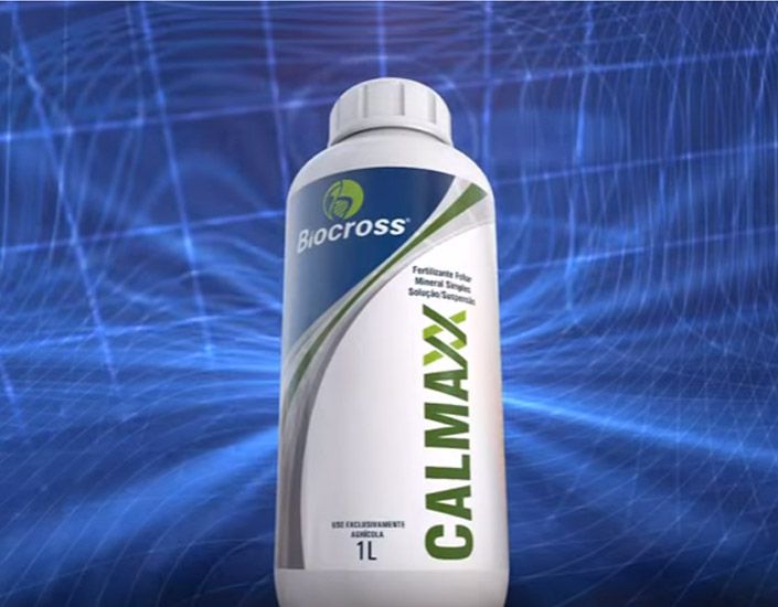 Calmaxx